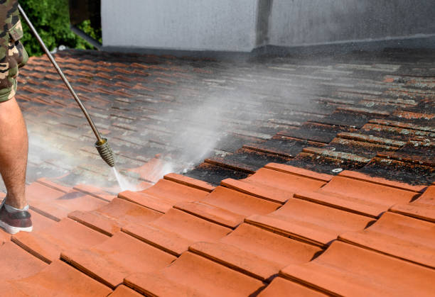 Best Power Washing Near Me  in Hebron, NE